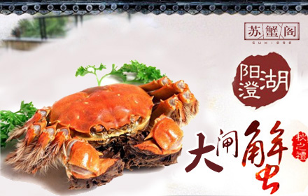 阳澄湖大闸蟹