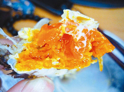 阳澄湖大闸蟹