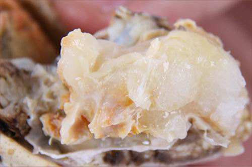 阳澄湖大闸蟹